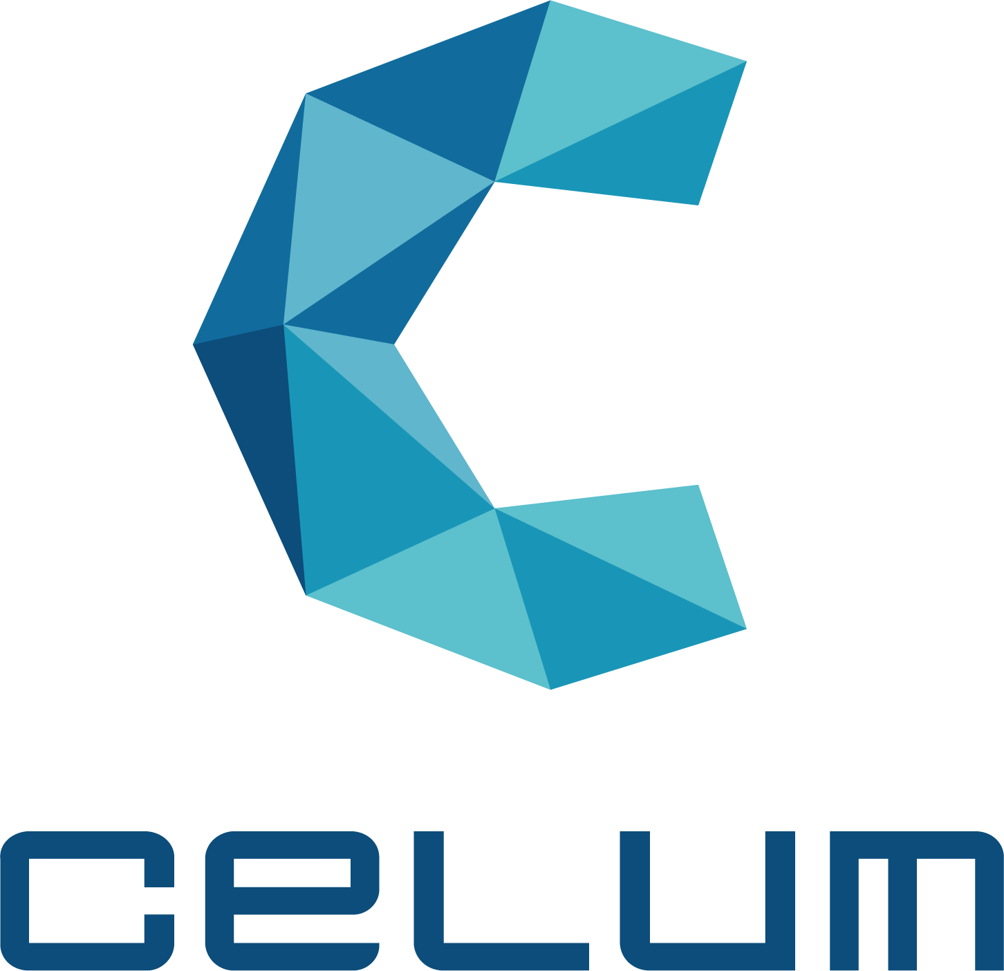 celum connect logo