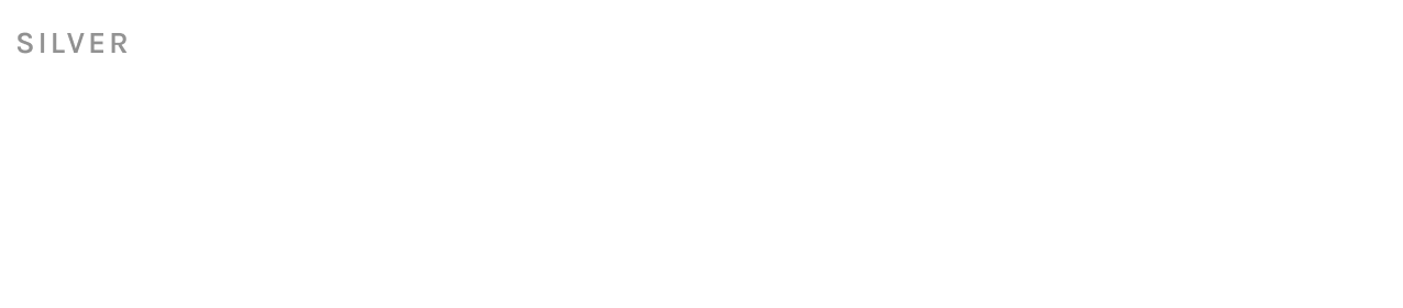 next-silver