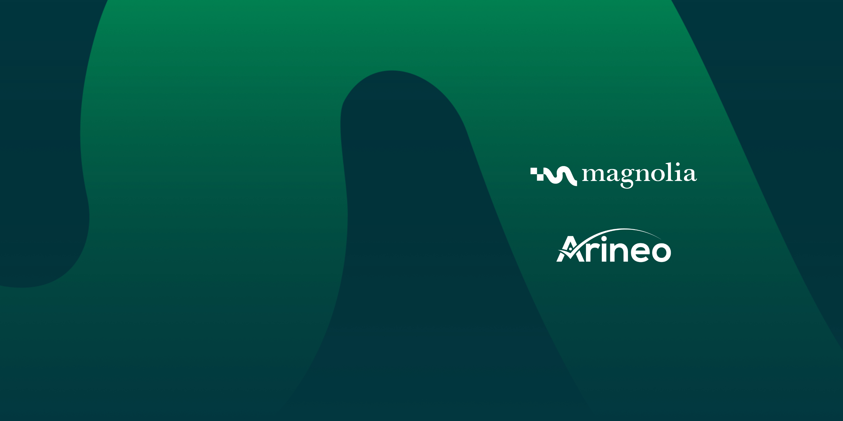 arineo-magnolia-partnership