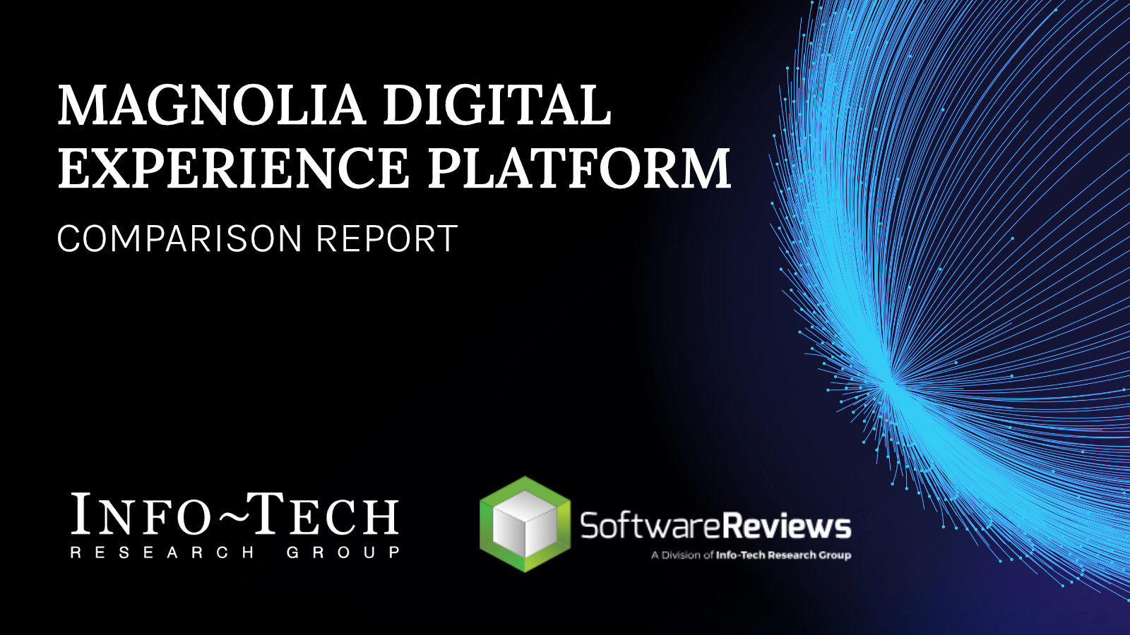 software-reviews-magnolia-dxp-comparison-report