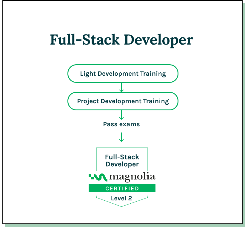 Full-Stack developer